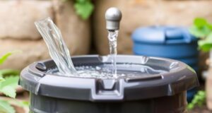 Regentropfen zählen: wie Haushalte Wasser und Geld sparen