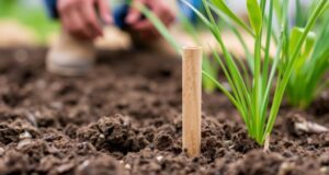 Why what’s under your feet matters in construction