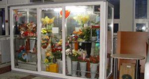 Холодильные камеры для сохранения красоты и свежести цветов