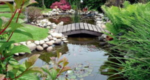 Пруд в саду