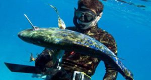 Scubamall – все, что нужно для подводной охоты