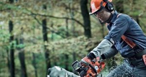 Когда нужно расчистить участок для продажи, строительства или ландшафтного дизайна