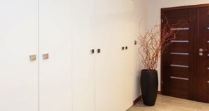 Входные двери для защиты и комфорта.