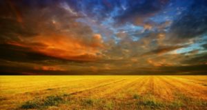 Коммутационные аппараты свыше 1000В