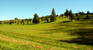 Выбор двигателя привода