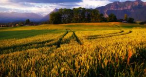 Принципы управления электродвигателями