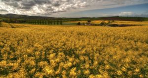 Электрические машины привода механизмов