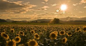 Измерительные трансформаторы