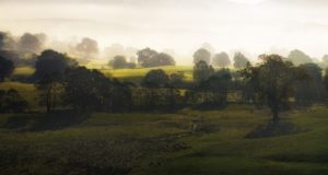 Электрическое освещение