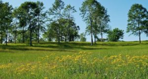 Командоаппараты