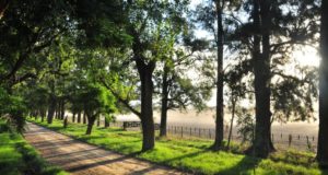 Управление двигателями привода гидромониторов, задвижек и кранов