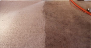 Чистка ковров по турецким технологиям в проверенной компании