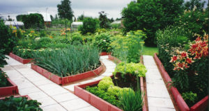 Какими преимуществами отличаются садовые бордюры