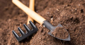 Какой бывает грунт и его применение