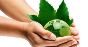 «Псевдо Экологи» – кто пытается нажиться на российской экологии