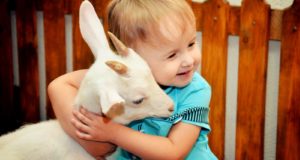 Питер Online – известные контактные зоопарки Санкт-Петербурга