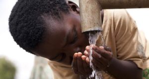 Краткая характеристика болезни дракункулез