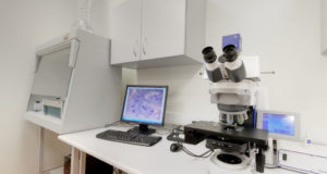 Выбираем недорогое, но качественное лабораторное оборудование