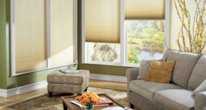 Тканевые ролеты — многообразие форм!