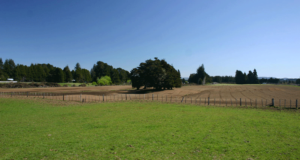 В каких ситуациях может требоваться выписка из кадастра на земельный участок